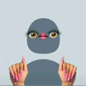 Meet your Posher, Kara